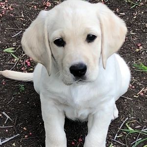 Meet your Posher, Christine